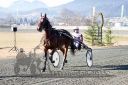 Dateiname=20151226_00_014.jpg
Dateigröße=148KB
Abmessungen: 750x500
hinzugefügt am: 10. Januar 2017 20151226_00_014.jpg