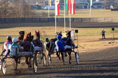 20151226_08_065.jpg