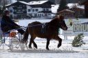 Dateiname=20160106_03_44.jpg
Dateigröße=106KB
Abmessungen: 750x500
hinzugefügt am: 15. Juli 2016 20160106_03_44.jpg
