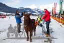 Dateiname=20160106_03_68.jpg
Dateigröße=113KB
Abmessungen: 750x500
hinzugefügt am: 15. Juli 2016 20160106_03_68.jpg