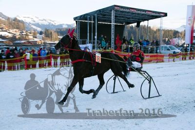 20160106_08_11.jpg