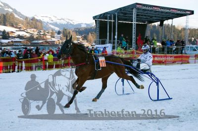 20160106_08_16.jpg