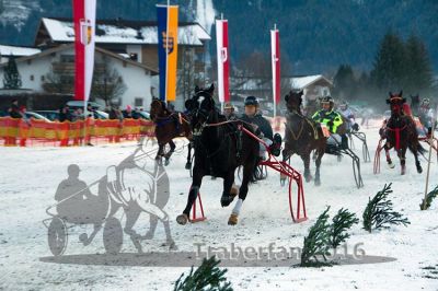 20160106_09_57.jpg