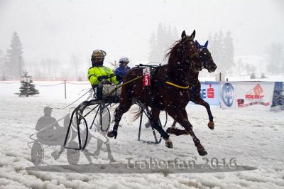 20160131_01_09.jpg
