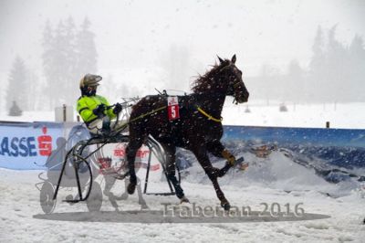 20160131_01_20.jpg