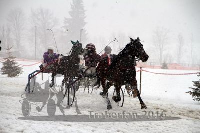 20160131_01_30.jpg