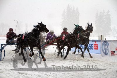20160131_01_35.jpg
