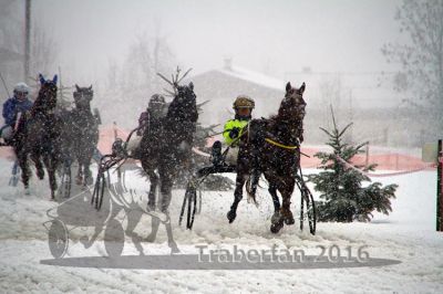20160131_01_37.jpg