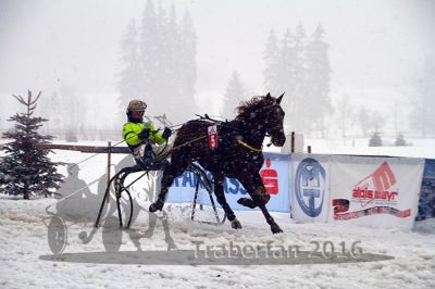 20160131_01_41.jpg