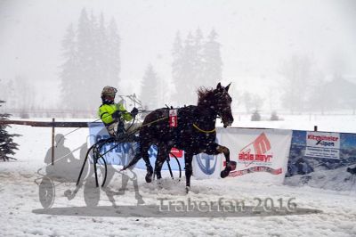 20160131_01_42.jpg