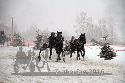20160131_02_44.jpg