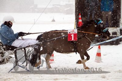 20160131_03_51.jpg