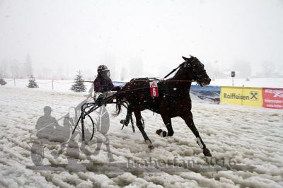 20160131_04_25.jpg