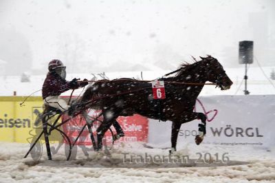 20160131_04_53.jpg