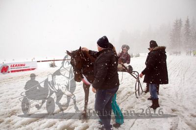 20160131_04_66.jpg