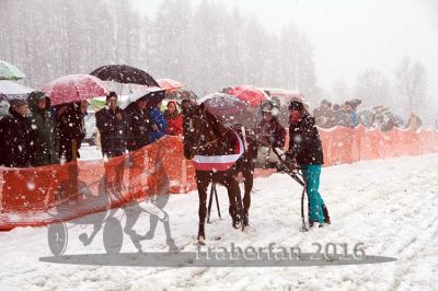 20160131_04_76.jpg
