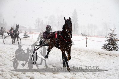 20160131_06_13.jpg