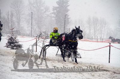 20160131_06_59.jpg