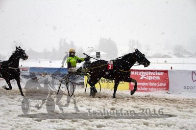 20160131_06_67.jpg