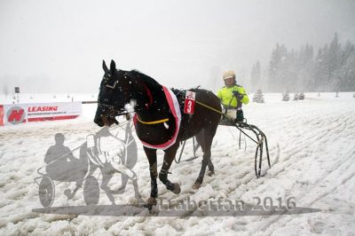 20160131_06_95.jpg