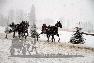 20160131_07_56.jpg