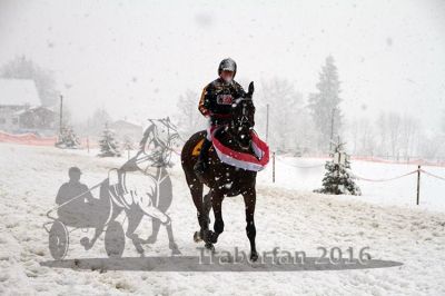 20160131_08_74.jpg