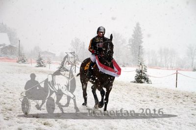 20160131_08_75.jpg