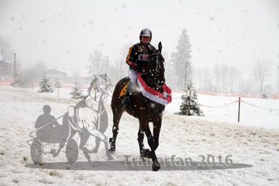 20160131_08_76.jpg