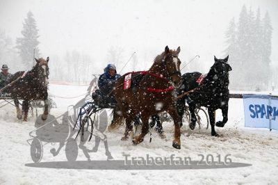20160131_09_20.jpg