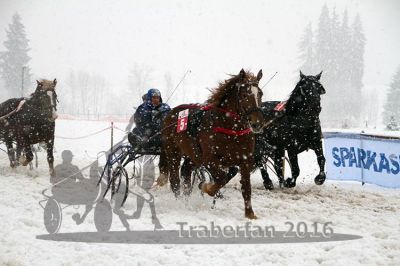 20160131_09_21.jpg