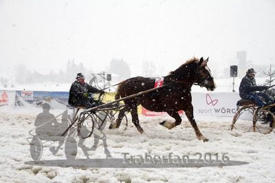 20160131_09_30.jpg