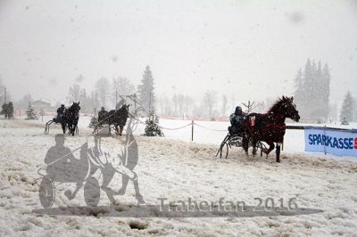20160131_09_38.jpg