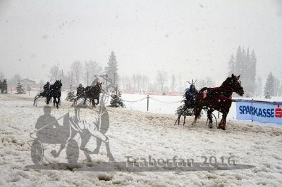 20160131_09_39.jpg