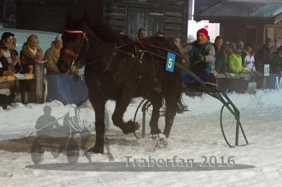 20160205_05_60.jpg