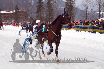 20160221_04_004.jpg