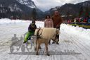 Dateiname=20160221_07_79.jpg
Dateigröße=113KB
Abmessungen: 750x500
hinzugefügt am: 28. August 2016 20160221_07_79.jpg