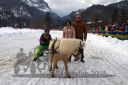 Dateiname=20160221_07_81.jpg
Dateigröße=113KB
Abmessungen: 750x500
hinzugefügt am: 28. August 2016 20160221_07_81.jpg