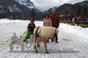 Dateiname=20160221_07_82.jpg
Dateigröße=113KB
Abmessungen: 750x500
hinzugefügt am: 28. August 2016 20160221_07_82.jpg