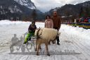 Dateiname=20160221_07_83.jpg
Dateigröße=113KB
Abmessungen: 750x500
hinzugefügt am: 28. August 2016 20160221_07_83.jpg