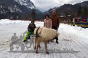 Dateiname=20160221_07_84.jpg
Dateigröße=113KB
Abmessungen: 750x500
hinzugefügt am: 28. August 2016 20160221_07_84.jpg