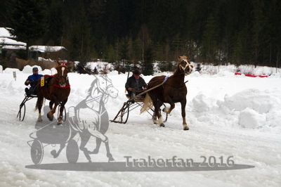 20160221_09_40.jpg
