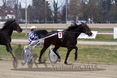 20160313_00_PQW1_32.jpg