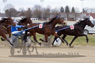 20160313_00_PQW1_38.jpg