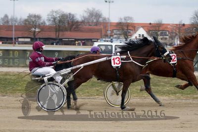 20160313_00_PQW2_60.jpg