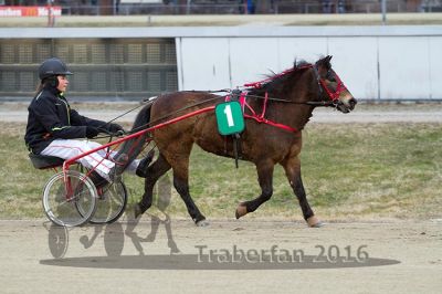20160313_01_MT_51.jpg