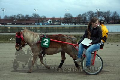 20160313_01_MT_87.jpg
