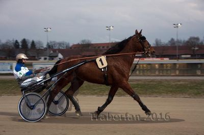20160313_R01_001.jpg