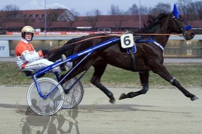 20160313_R01_037.jpg