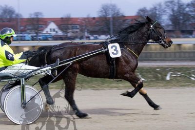20160313_R01_044.jpg