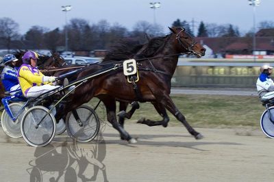 20160313_R01_052.jpg